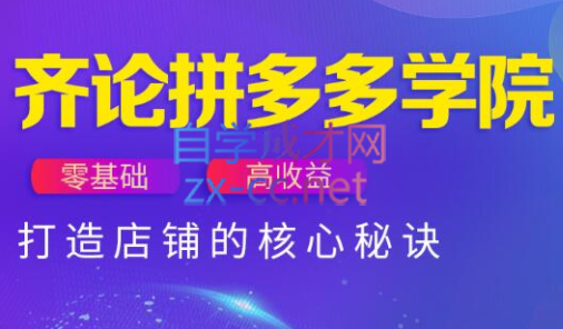 齐论拼多多vip课程搞副业-副业刚需-兼职-网赚搞副业网