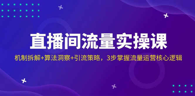 直播间流量实操课：机制拆解+算法洞察+引流策略，3步掌握流量运营核心逻辑搞副业-副业刚需-兼职-网赚搞副业网