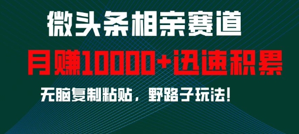 微头条相亲赛道，迅速积累，无脑复制粘贴，野路子玩法，月入1w搞副业-副业刚需-兼职-网赚搞副业网
