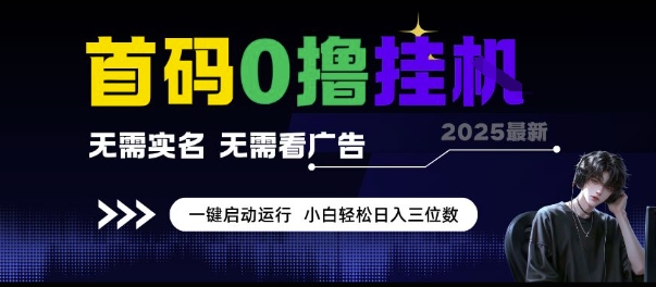 首码0撸挂G项目，无需实名无需看广告 一键启动运行，小白轻松日入三位数【揭秘】搞副业-副业刚需-兼职-网赚搞副业网