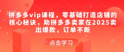 拼多多vip课程，零基础打造店铺的核心秘诀，助拼多多卖家在2025卖出爆款，订单不断搞副业-副业刚需-兼职-网赚搞副业网