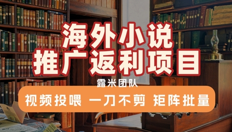 海外小说推广返利项目，视频投喂， 一刀不剪，矩阵批量搞副业-副业刚需-兼职-网赚搞副业网