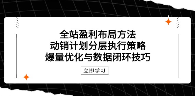 全站盈利布局方法：动销计划分层执行策略，爆量优化与数据闭环技巧搞副业-副业刚需-兼职-网赚搞副业网