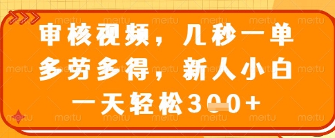 审核视频，几秒一单，多劳多得，新人小白一天轻松3张【揭秘】搞副业-副业刚需-兼职-网赚搞副业网