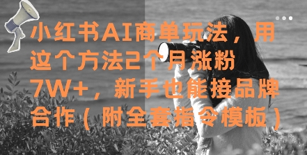 小红书AI商单玩法，用这个方法2个月涨粉7W+，新手也能接品牌合作(附全套指令模板)搞副业-副业刚需-兼职-网赚搞副业网