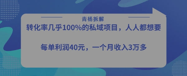 转化率最高的私域项目，每单利润40-50米，月入过1w搞副业-副业刚需-兼职-网赚搞副业网