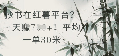 抄书在小红薯平台？平均一单30米，一天收益几张！搞副业-副业刚需-兼职-网赚搞副业网