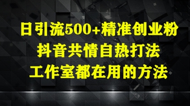 日引流500+精准创业粉，抖音共情自热打法，工作室都在用的方法搞副业-副业刚需-兼职-网赚搞副业网
