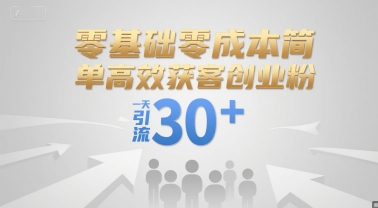 零基础零成本简单高效获客创业粉，一天引流30+搞副业-副业刚需-兼职-网赚搞副业网