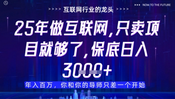 什么！25年你还在找项目做？风口早就变了，卖项目才是稳挣不赔【揭秘】搞副业-副业刚需-兼职-网赚搞副业网