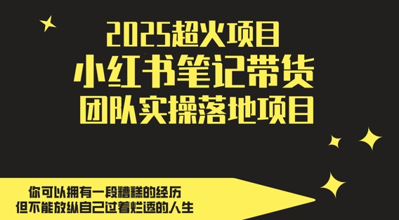 2025超火项目，副业最佳选择，小红书笔记带货团队实操落地项目，，轻松日入5张搞副业-副业刚需-兼职-网赚搞副业网