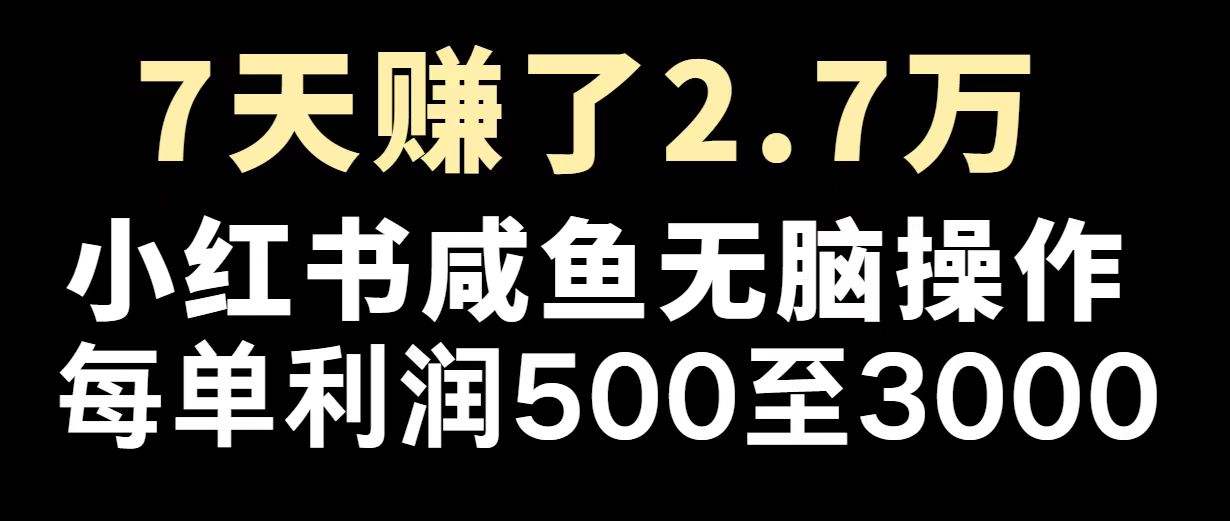 最赚钱项目之一，2025爆火，逆风翻盘！搞副业-副业刚需-兼职-网赚搞副业网