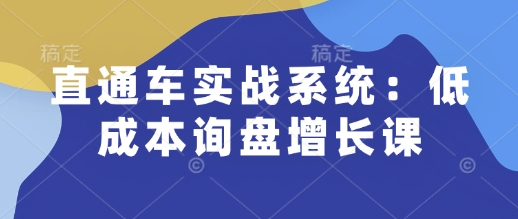 直通车实战系统：低成本询盘增长课，让个人通过技能实现升职加薪，让企业低成本获客，订单源源不断搞副业-副业刚需-兼职-网赚搞副业网