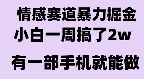 情感暴力掘金项目，新人操作一周挣了2W，长期稳定小白可做【揭秘】搞副业-副业刚需-兼职-网赚搞副业网