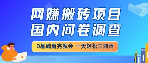 网创搬砖项目，国内问卷调查，小白轻松上手，一天三四张的也不难，干就完了【揭秘】搞副业-副业刚需-兼职-网赚搞副业网