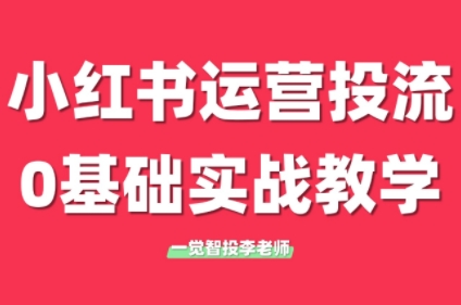 李老师·小红书运营投流，0基础实战教学(更新)搞副业-副业刚需-兼职-网赚搞副业网
