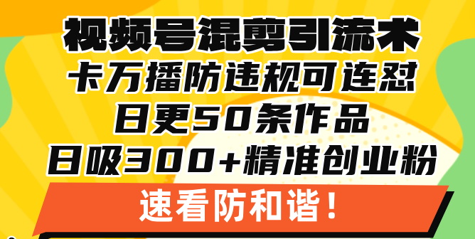视频号混剪引流技术，500万播放引流17000创业粉，操作简单当天学会搞副业-副业刚需-兼职-网赚搞副业网