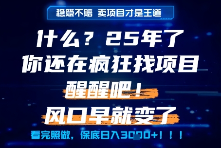 什么？25年你还在疯狂找项目做，醒醒吧，看完这些你全都懂了！【揭秘】搞副业-副业刚需-兼职-网赚搞副业网