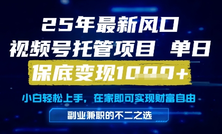 25年最新风口，视频号托管项目，单日保底变现1k+，手把手教学【揭秘】搞副业-副业刚需-兼职-网赚搞副业网