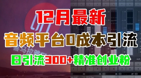 12月最新：音频平台0成本引流，日引流300+精准创业粉搞副业-副业刚需-兼职-网赚搞副业网
