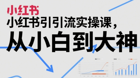 小红书引流实操课，从小白到大神搞副业-副业刚需-兼职-网赚搞副业网