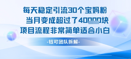 每天稳定引流30个人 当月变成超过了4个W项目流程非常简单适合小白搞副业-副业刚需-兼职-网赚搞副业网