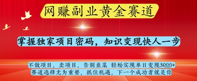 网创副业黄全赛道，掌握独家项目密码，知识变现快人一步，告别韭菜轻松实现单日变现1k+【揭秘】搞副业-副业刚需-兼职-网赚搞副业网