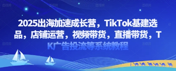 2025出海加速成长营，TikTok基建选品，店铺运营，视频带货，直播带货，TK广告投流等系统教程搞副业-副业刚需-兼职-网赚搞副业网
