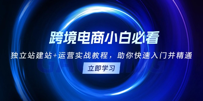 跨境电商小白必看！独立站建站+运营实战教程，助你快速入门并精通搞副业-副业刚需-兼职-网赚搞副业网