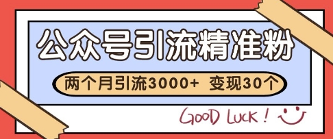 公众号精准粉引流玩法，2个月3000+精准粉，变现30个W【揭秘】搞副业-副业刚需-兼职-网赚搞副业网