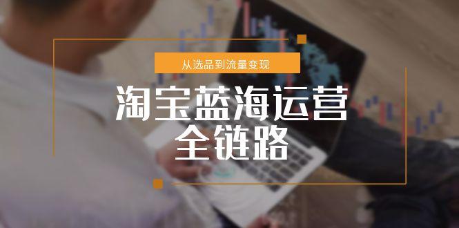 淘宝蓝海运营全链路，从选品到流量变现，小类目突围完整方案搞副业-副业刚需-兼职-网赚搞副业网