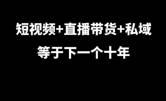 短视频+直播带货+私域等于下一个十年，大佬7年实战经验总结搞副业-副业刚需-兼职-网赚搞副业网