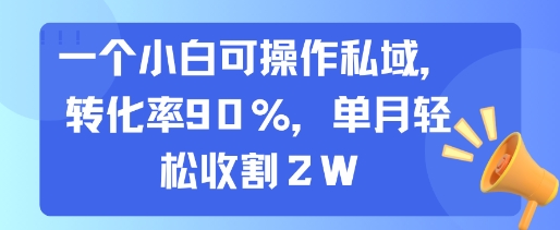 一个小白可操作私域，转化率90%，单月轻松收割2W搞副业-副业刚需-兼职-网赚搞副业网