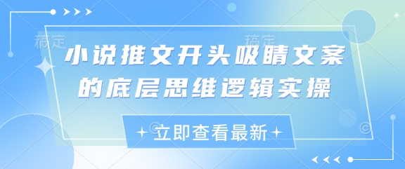 小说推文开头吸睛文案的底层思维逻辑实操搞副业-副业刚需-兼职-网赚搞副业网