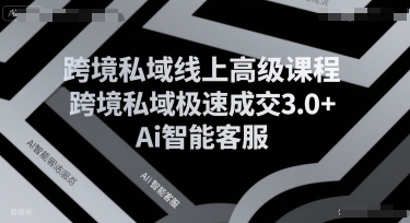 跨境私域线上高级课程，跨境私域极速成交3.0+Ai智能客服搞副业-副业刚需-兼职-网赚搞副业网