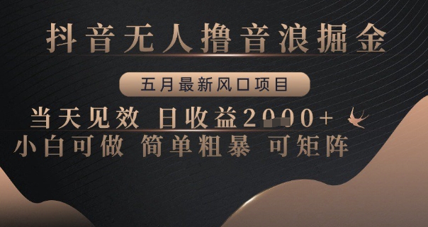 抖音无人撸音浪掘金，五月最新风口项目，当天见效，日收益多张，小白可做简单粗暴可矩阵【揭秘】搞副业-副业刚需-兼职-网赚搞副业网