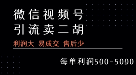 视频号卖二胡教程，利润大 易成交 售后少，一单利润5张+搞副业-副业刚需-兼职-网赚搞副业网
