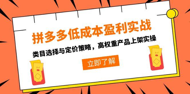 拼多多低成本盈利实战，类目选择与定价策略，高权重产品上架实操搞副业-副业刚需-兼职-网赚搞副业网