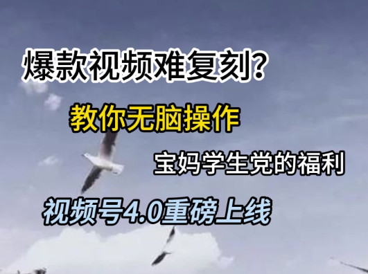 视频号4.0重磅上线，爆款视频难复刻？教你无脑操作宝妈学生党的福利【揭秘】搞副业-副业刚需-兼职-网赚搞副业网
