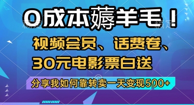 0成本薅羊毛!视频会员、话费卷、30元电影票白送，分享我如何靠转卖一天变现5张+【揭秘】搞副业-副业刚需-兼职-网赚搞副业网