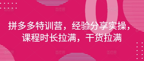 拼多多特训营，经验分享实操，课程时长拉满，干货拉满(更新25年4月)搞副业-副业刚需-兼职-网赚搞副业网