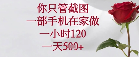 你只管截图，一部手机在家可以做，一小时120.一天5张+【揭秘】搞副业-副业刚需-兼职-网赚搞副业网