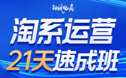 白凤电商·淘系运营21天速成班(更新5月)搞副业-副业刚需-兼职-网赚搞副业网