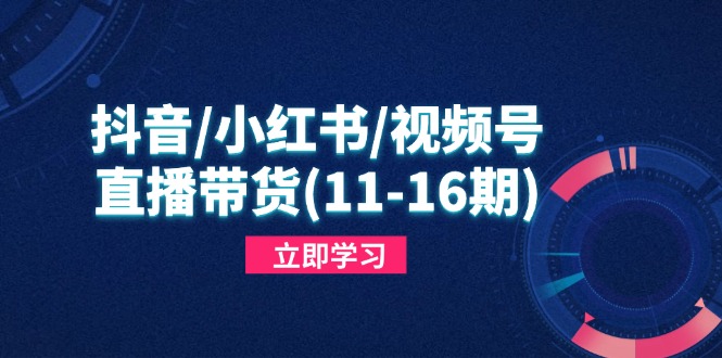 抖音/小红书/视频号/直播带货(11-16期搞副业-副业刚需-兼职-网赚搞副业网