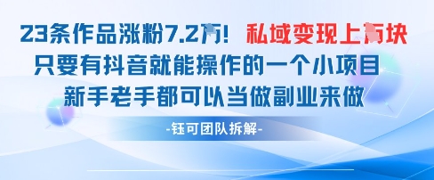 抖音私域项目23条作品涨粉7.2W，私域变现1W搞副业-副业刚需-兼职-网赚搞副业网
