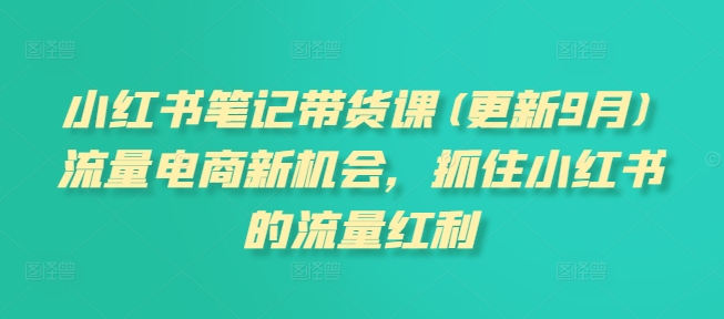 小红书笔记带货课(更新25年5月)流量电商新机会，抓住小红书的流量红利搞副业-副业刚需-兼职-网赚搞副业网