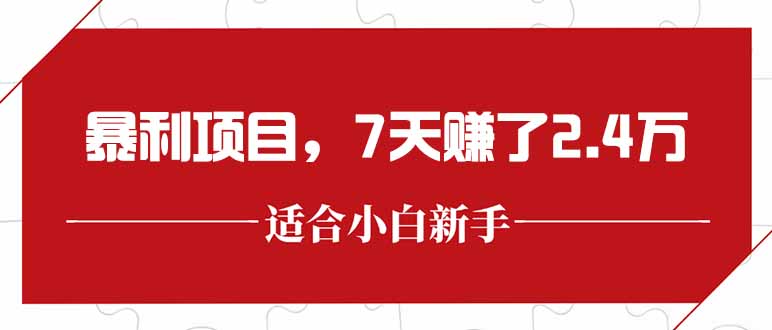 最新暴利项目，每单收益轻松在300以上，7天赚了2.4万搞副业-副业刚需-兼职-网赚搞副业网