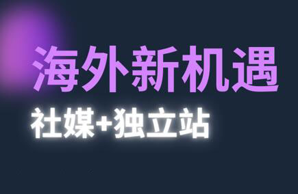 棕榈·2025出海新机遇(社媒+独立站)搞副业-副业刚需-兼职-网赚搞副业网