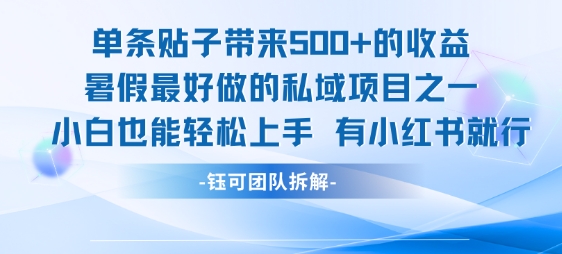单条贴子带来5张的收益，暑假最好做的私域项目之一，小白也能轻松上手，有小红书就行搞副业-副业刚需-兼职-网赚搞副业网