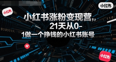小红书涨粉变现营，21天从0-1做一个挣钱的小红书账号搞副业-副业刚需-兼职-网赚搞副业网